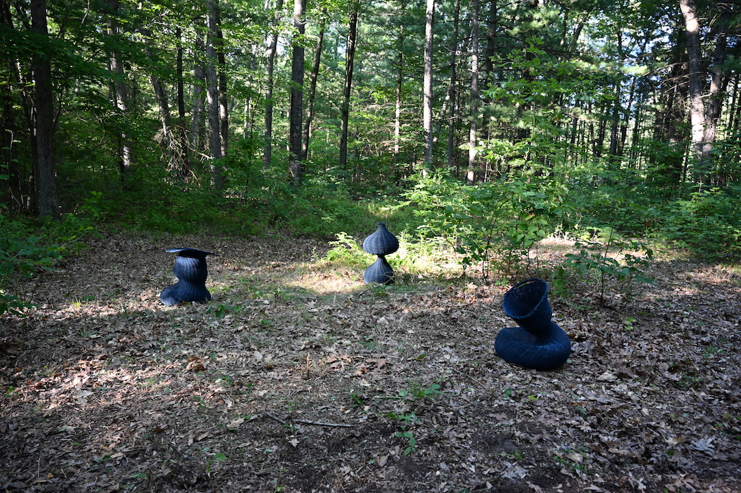 woods intro image
