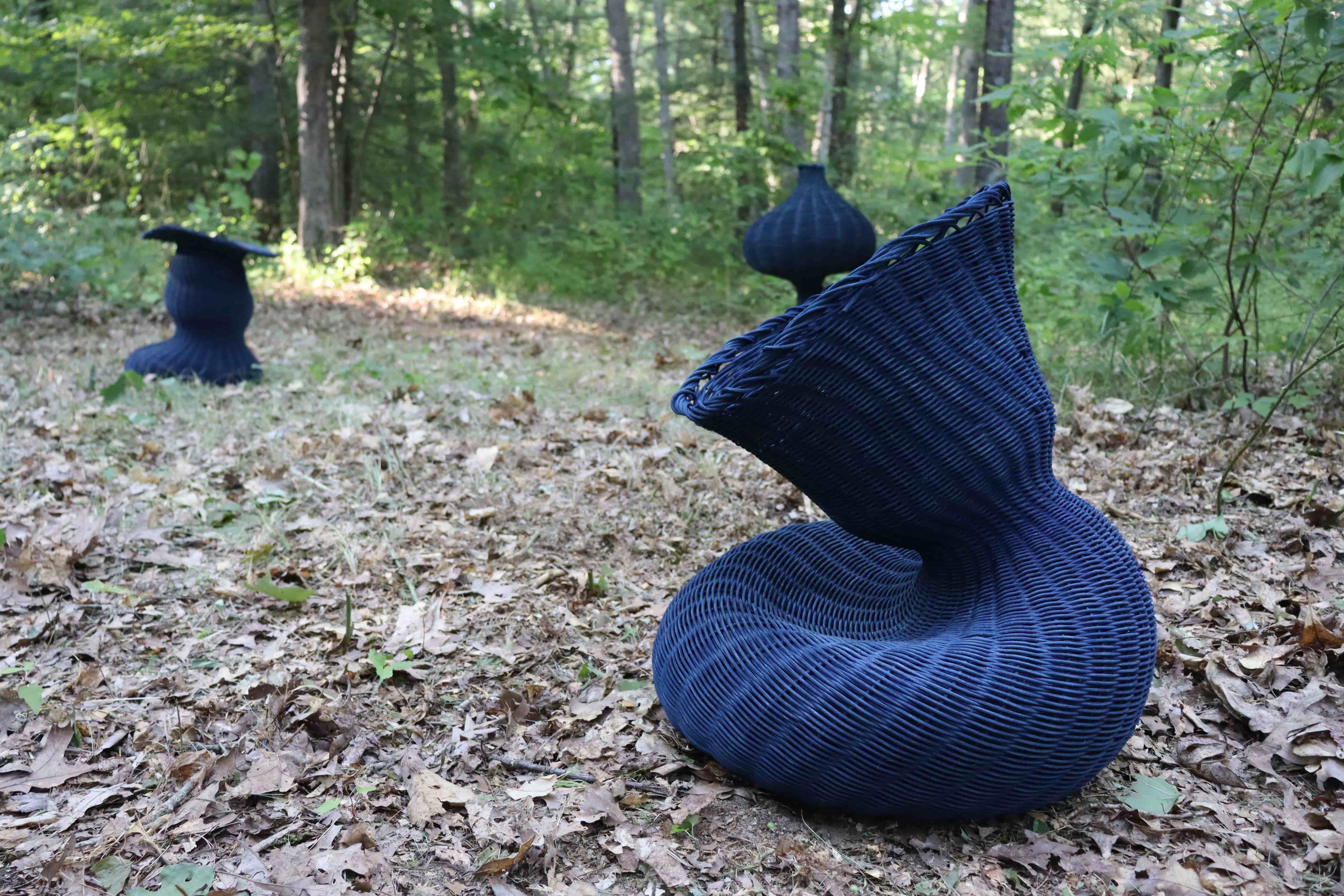 woods intro image